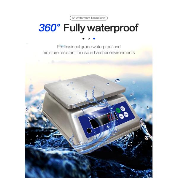 6kg Maximum Weighing Stainless Steel Scale with Dual Display and IP68 Waterproof Rating
