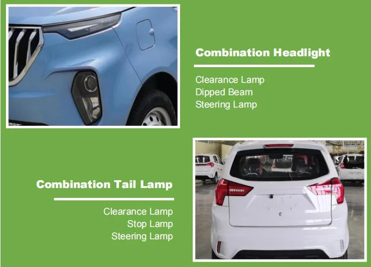 China Raysince Factory Hot Sales Model Cars Electric Sedan Four Seat Five Door New Energy Mini Electric Car for Adults