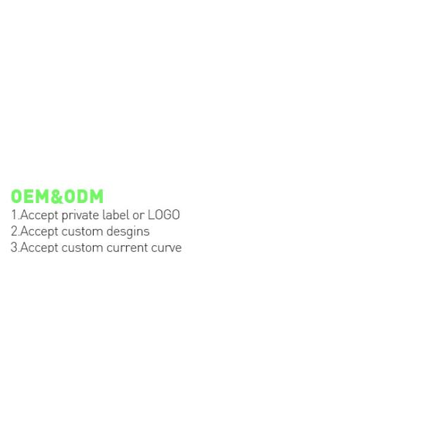 IP65 12V 10A 2 - Bank Lithium Ion Battery Charger Customized Logo