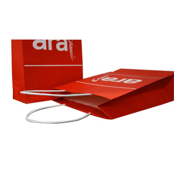 White Kraft Paper Carrier Bag paper handle Offset printing for gift packing