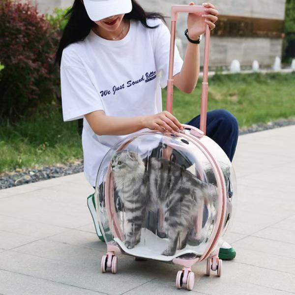 Outdoor Dog Carrier Bag Convenient Handheld Pet Travel Carrier Open Closure Pull-Rod Bubble Rolling Luggage for Cats