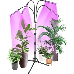 China FCC IP44 RED Blue Floor LED Plant Lamp Floor Grow Lamp For Indoor Plants wholesale