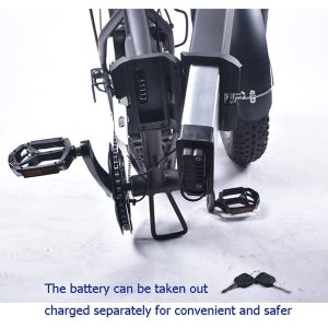 Haiba Electric Rechargeable Bicycle Lithium Battery 250W 500w 750w