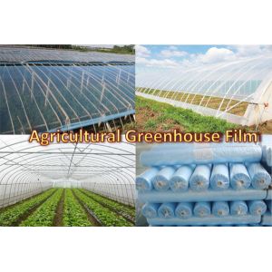 China 50micron-200micron Plastic Agricultural Greenhouse Film Cover wholesale