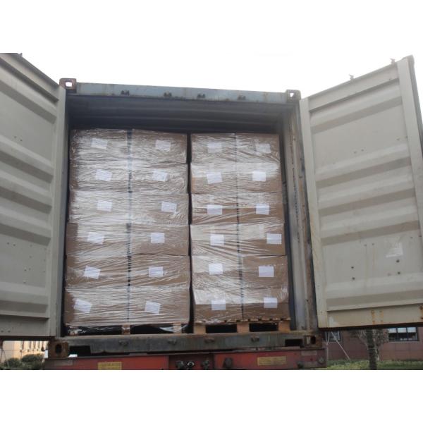 Universal Flexible Safety Elbow and Knee Guards for Body Protection