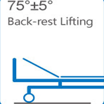 215CM Height Adjustable Electric Hospital Bed 90 Deg Medical ICU Room