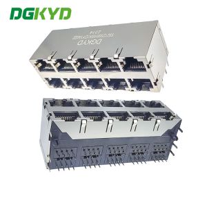 China DGKYD59212588HWA1DY1A022 2X5 Port 8P8C Modular Jack No Lamp With Spring Piece Multi Port wholesale