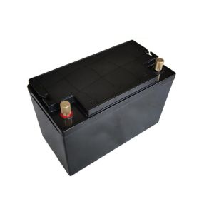 China 12V 100ah RV Camper Battery Deep Cycle Lifepo4 Caravan Battery on sale