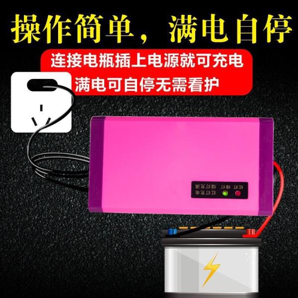 12V 24V 36V 48V 120W 60v 60 Volt Battery Charger For Electric Scooter Bike