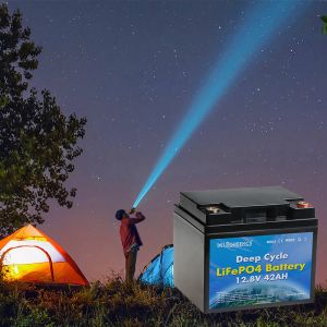 3500 Times Cycle 42Ah 12V LiFePO4 Battery Pack