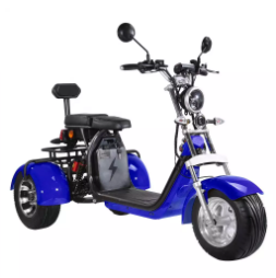 1000W 3 Wheel Harley Electric Scooter Bike Off Road Citycoco Fat Tire Old People Ride Tricycles