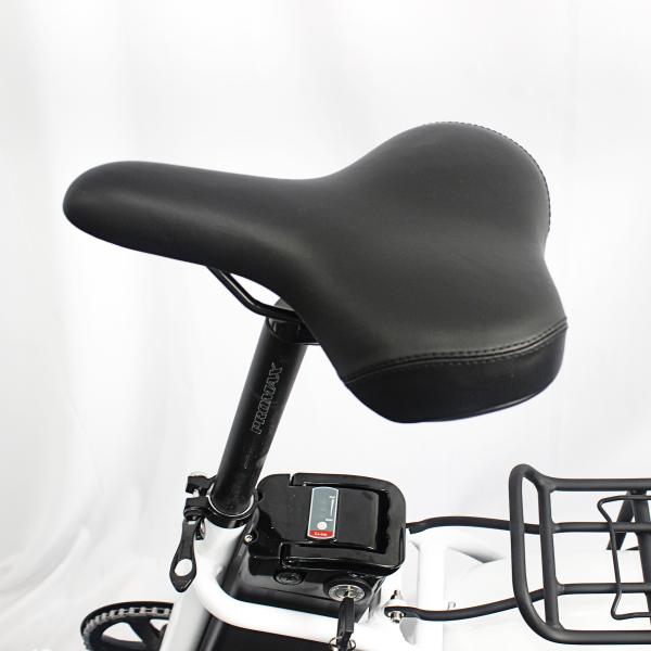 250w 1000w 48v Folding Electric Bike Off Road 10.4 15.6 21Ah Lithium Battery