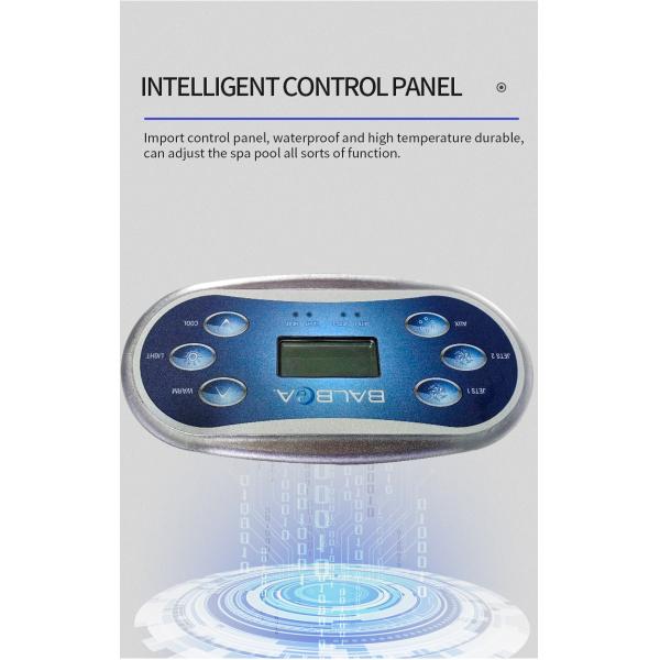 6 Persons Outdoor Hot Tub Swim Spa Massage With Dvd Player