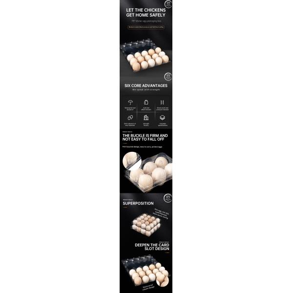 20/24/30 Cell PET Clear Plastic Egg Blister Tray Disposable Quail Chicken Egg Packaging with Lid