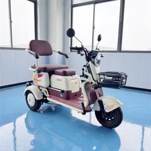 China 500W 2 Seater 3 Wheel Electric Bike Lithium Battery / Lead Acid Battery Optional wholesale