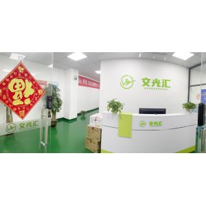 Shenzhen Wenhui Technology Development Co., Ltd.