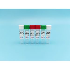 China OverExpress C43 Competent E. Coli 48/96 Tests/Kit For PET Series PGEX PMAL Proteins on sale