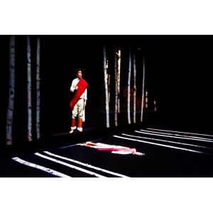 Shenzhen SMX Display Technology Co.,Ltd