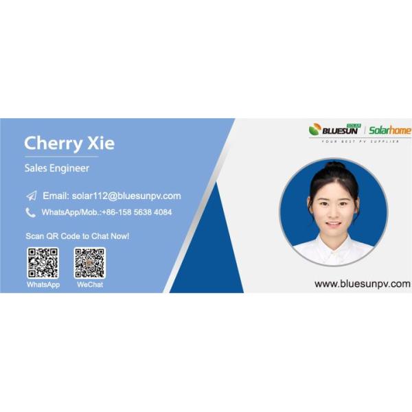 Bluesun 160W Flexible Solar Panels 1000W 550W 650W Solar Panel Price 670W 700W Factory