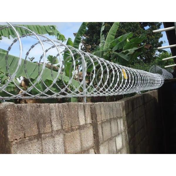 Hot Dipped Security Fence Barbed Wire Shaving Razor Galvanized Razor Rust Proof Wire