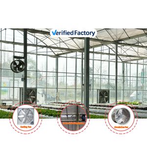 Vegetable Production Agricultural Seeds Strawberry Greenhouses Multi Tunnel