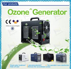 China Fruit Washing Water Ozone Generator / Ozone Water Maker 3g/h - 5g/h on sale
