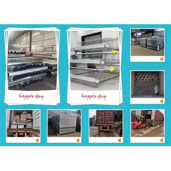 3/4 Tiers A Type Layer Chicken Cage Q235 Layer Hen Cages With Automatic Drinking System