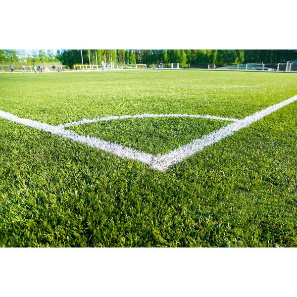 10mm Height Plastic Synthetic Turf Carpet Lawn Artificial Grass Landscape