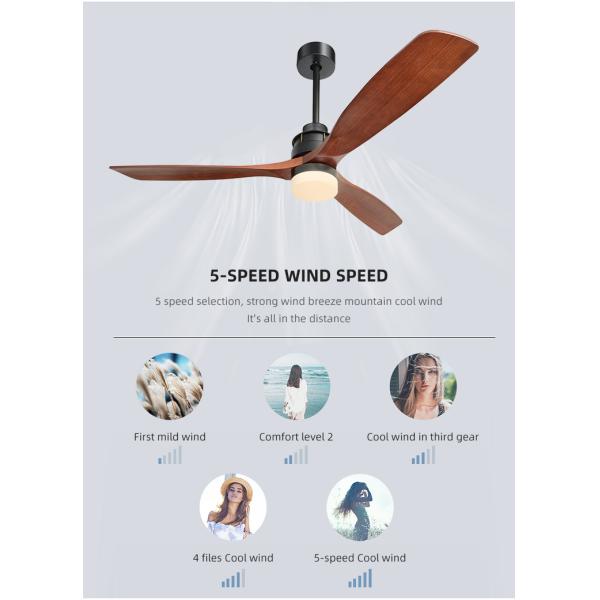 Fashion Adjustable 65W 60 Inch 3 Blade Ceiling Fan Light 1500lm