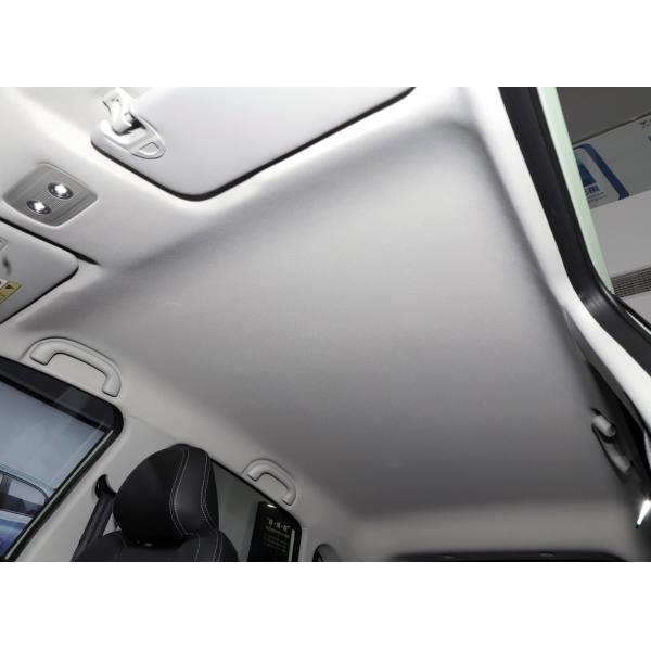 s Neta V 2024 Popular Right Hand Driving Electric Car with Ternary Lithium Ion Battery