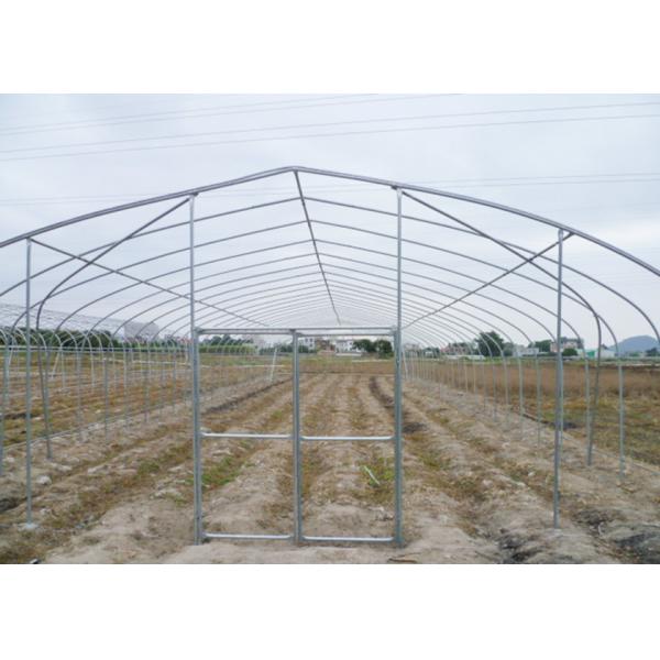 Single Tunnel Agriculural Greenhouses Polytunnel Berry Greenhouse