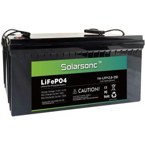 China 12v 100ah Lifepo4 Battery Pack With Bms on sale