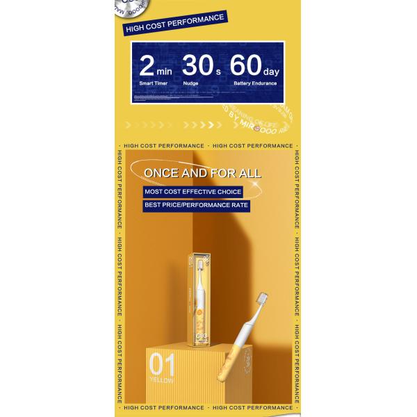 Adult Waterproof Electric Toothbrush IPX7 Ultrasonic Rechargeable Toothbrush