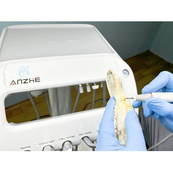 Veterinary Dental Equipment Pet Tooth Treatment Machine Move At Will Vet Use Pet Dental Treatment Unit With Compressor