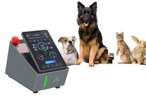 China 200mW Veterinary Laser Therapy Machine Neuromuscular Disease Treatment wholesale