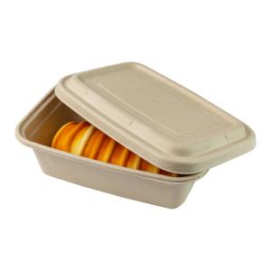China 750ml 850ml 1000ml Sugarcane Bagasse Food Container Biodegradable Moulded Pulp wholesale