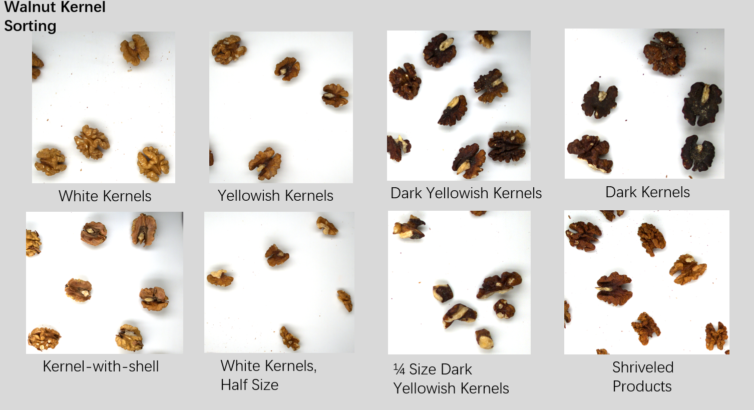 AI Powered Walnut Kernel Sorter Machine Digital Color Sorter For Precise Food Sorting