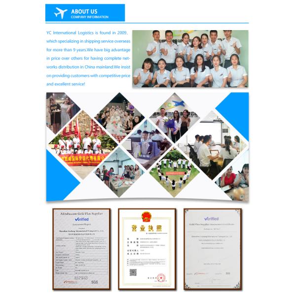 7 To 14 Days DDP International DDU Sea Freight To USA Low Insurance Rates