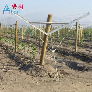 China Recyclable Orchard Trellis Systems Provides Complete Control Trellis Wires wholesale