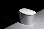 Siphon Jet Flushing Bathroom Smart Toilet With Reciprocating Cleaning Function
