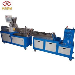 Lab Twin Screw Extruders for Masterbatch Plastic Extruder Price