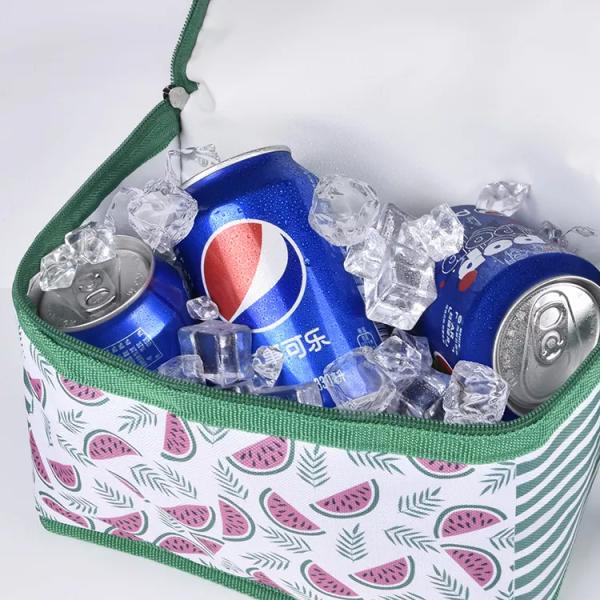 Waterproof Cooler Insulated Lunch Bag Multipurpose For 6 Pack Beer