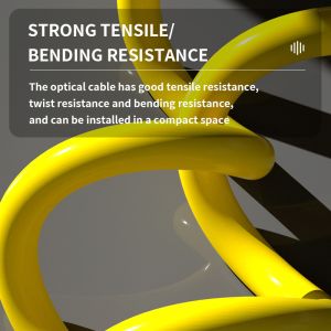 Customized Lengths 12 Cores LC/APC Singlemode Fiber Optic Pigtail for FTTN