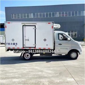 Gasoline Small Refrigerated Truck Mini Freezer Refrigerator Truck
