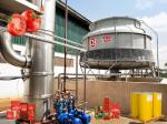 High Temperature Resistance Tomato Processing Line with Customized Capacity and
