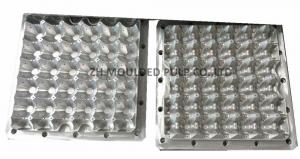 China Vacuum  Aluminium Injection Moulding Material Thermoforming Egg Tray use on sale