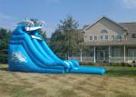 Dolphin 16 Foot Water Park Inflatable Pool Slide / Air Water Slide Pool