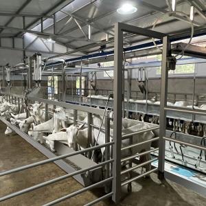 China Farms Dairy High Productivity Milking Parlor Equipment Flexible Goat Milking Parlor wholesale