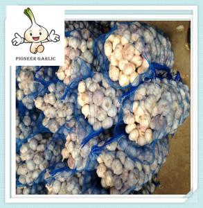 China China good quality of 5.0cm New Fresh White Garlic for wholesale market price wholesale