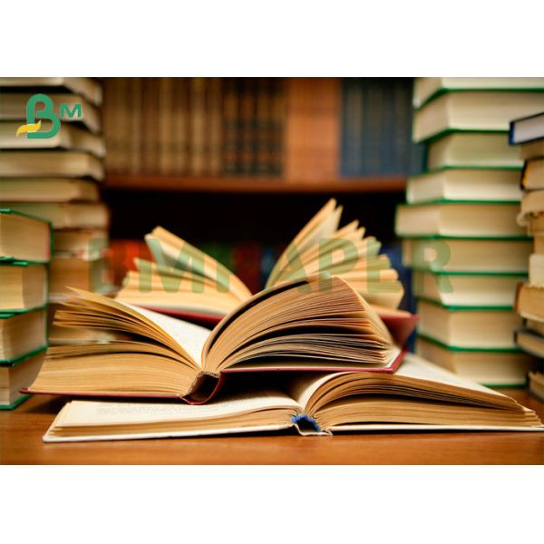 50gsm 53gsm Offset Printing White Bond Paper Novel Inner Pages 60.5cm Roll 50gsm 53gsm Offset Printing White Bond Paper Novel Inner Pages 60.5cm Roll